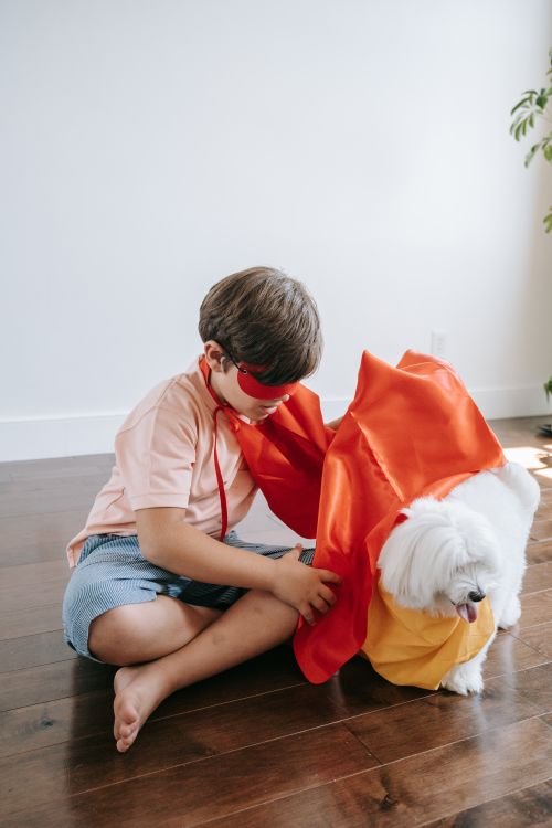 Free A child and dog in superhero capes, playing indoors on a wooden floor. Stock Photo