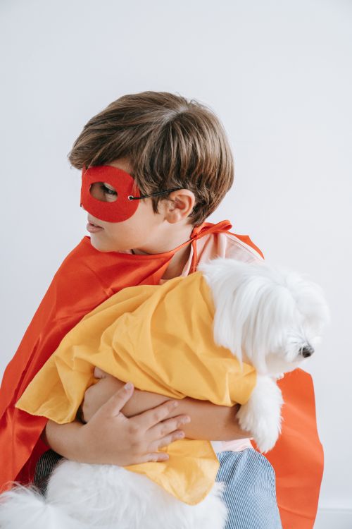 Free A child in a superhero costume holding a dog indoors, both in colorful outfits. Stock Photo