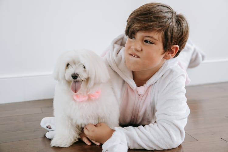 A Boy And His Dog On The Floor