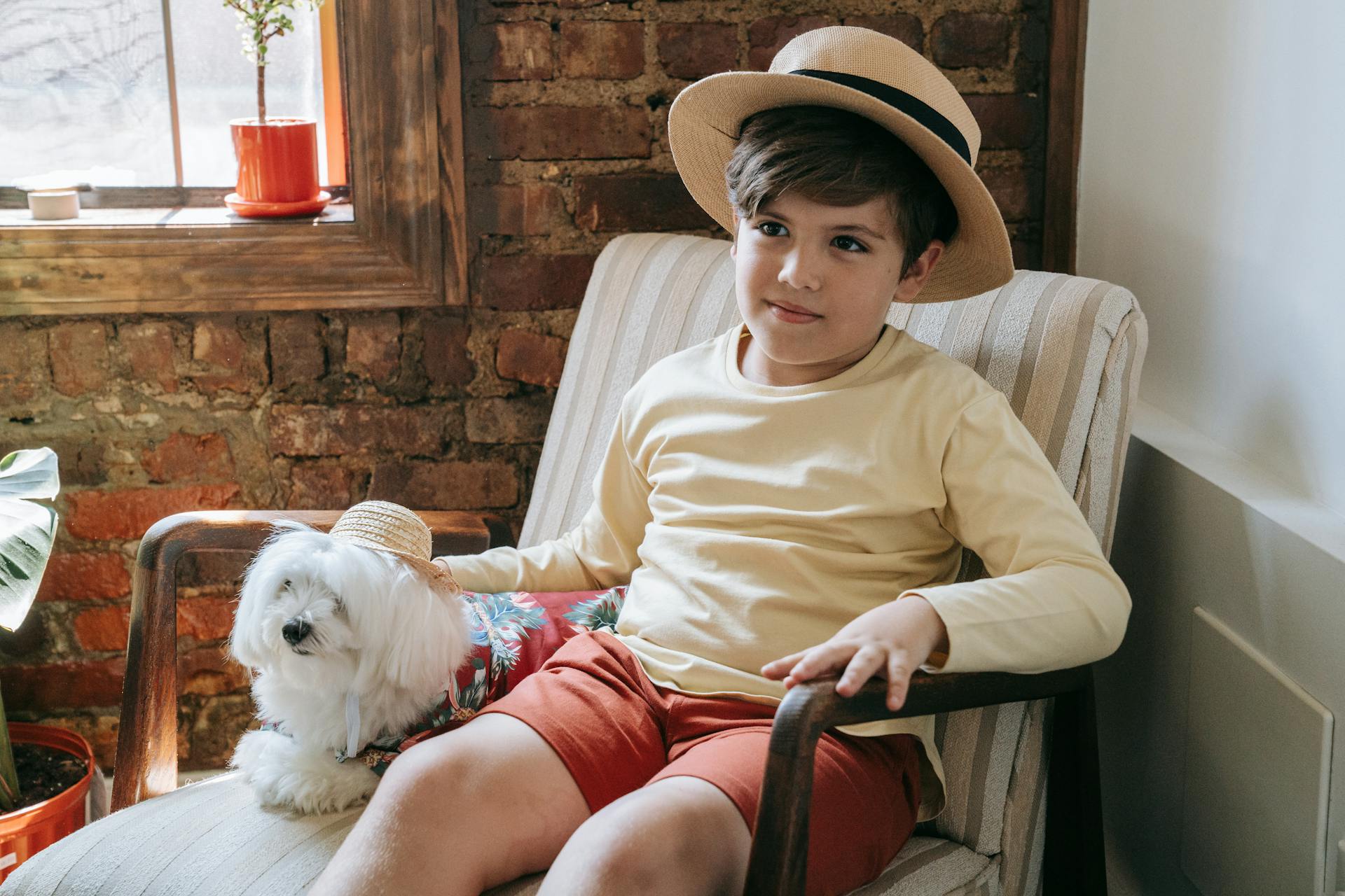 A Boy and a Dog Wearing Hats