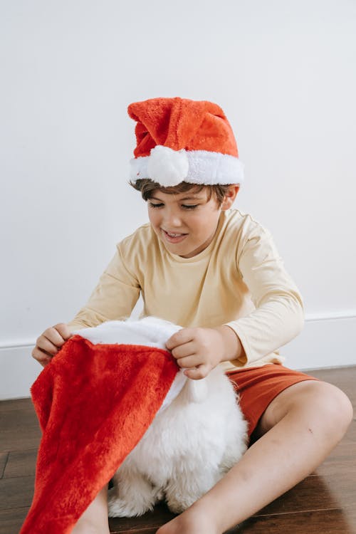Photo of a Boy Putting a Santa Hat on His Pet
