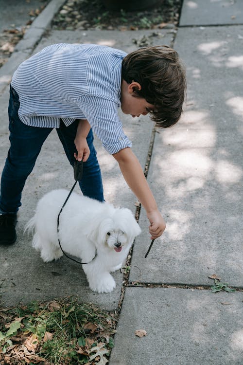 Free Boy Holding a Stick in Front of a Dog Stock Photo