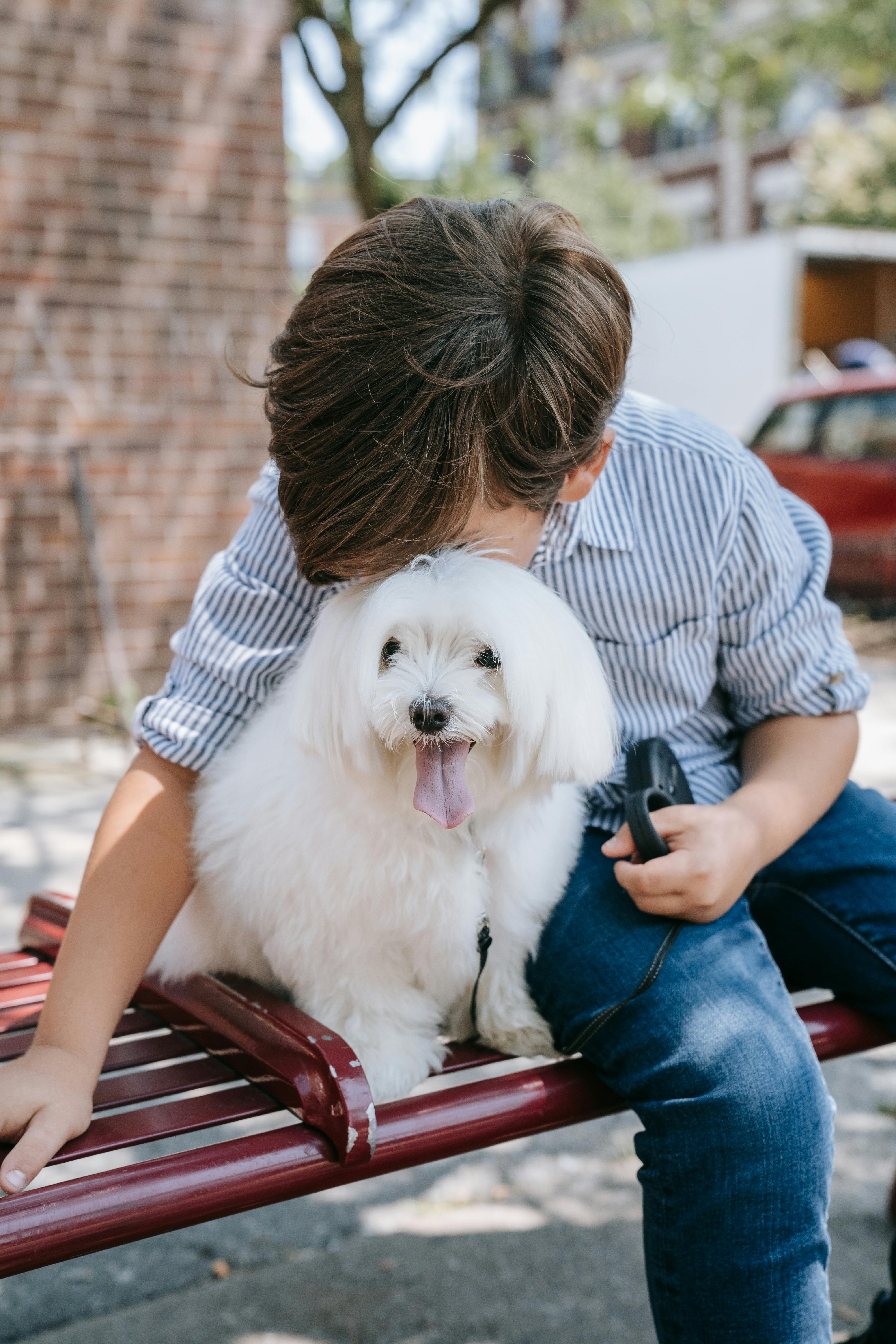 Kid Lying on the Floor with Brown Dog · Free Stock Photo