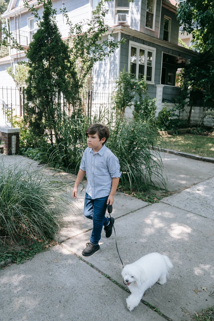 Boy Walking His Dog