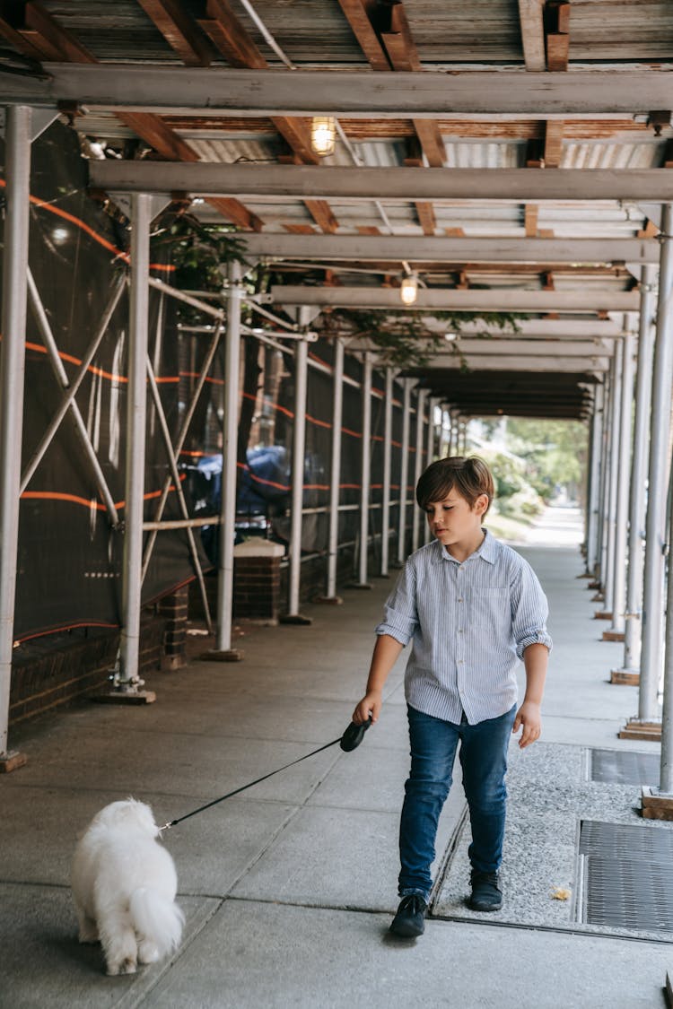 Boy Holding Leash On White Animal