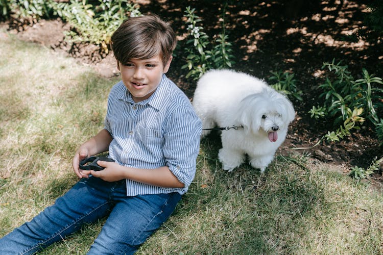 Boy Sitting On Green Grass With White Dog