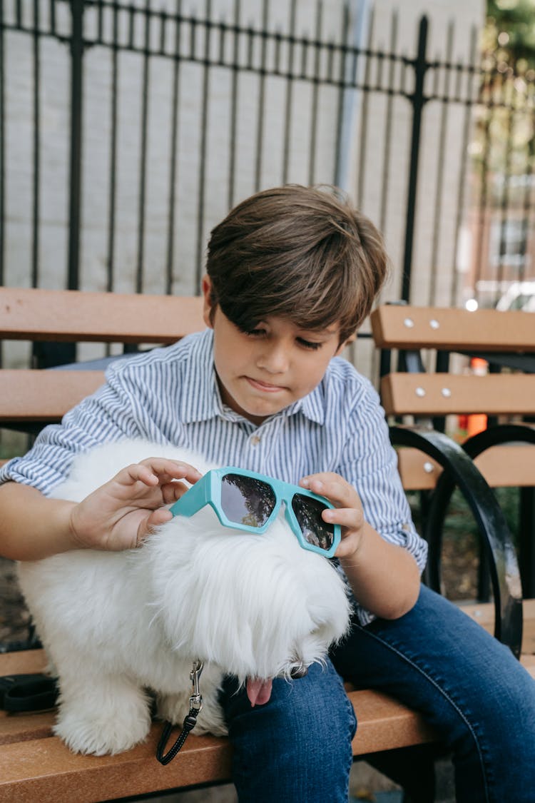 Boy Putting On Sunglasses On White Dog