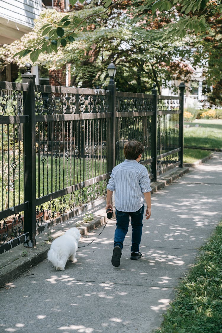 Back View Of A Boy Walking His Dog