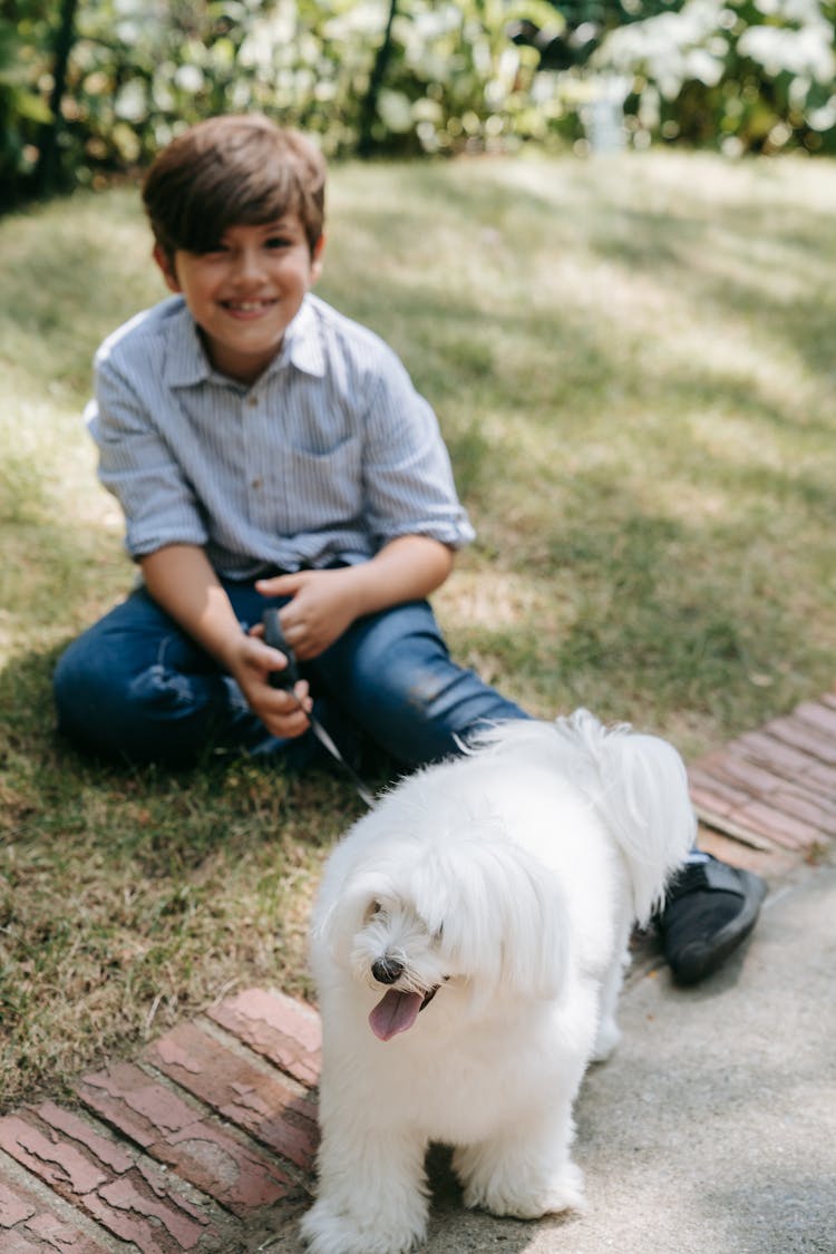 Boy Sitting On The Grass With His Dog
