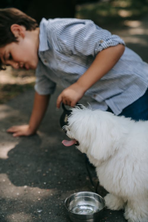 Photo of a White Dog Near a Boy