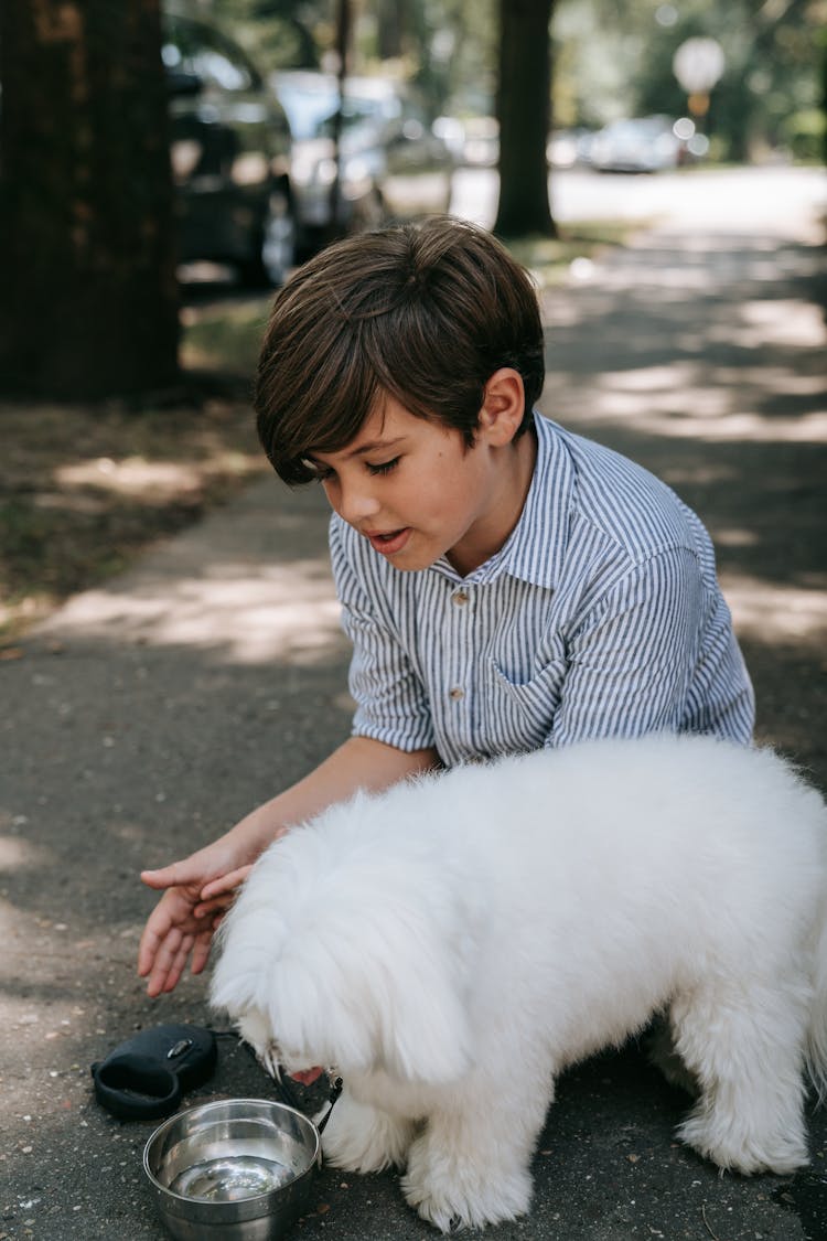 Boy With White Dog Looking At Water On Stainless Bowl