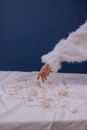 Person Holding White Fur Textile