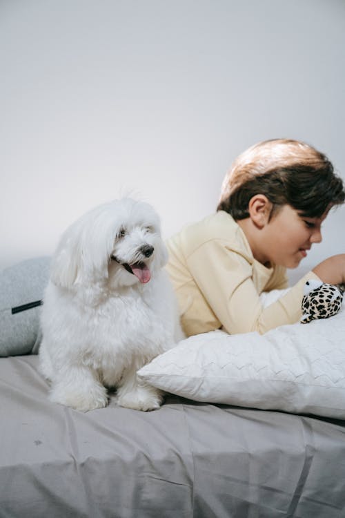 Photo of a Boy Lying Near a White Dog