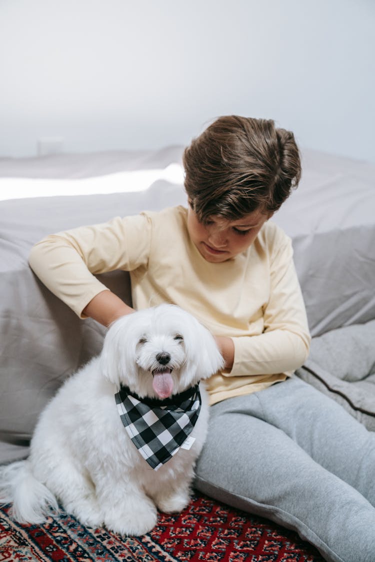 A Boy Placing A Neckerchief Around A Dog's Neck