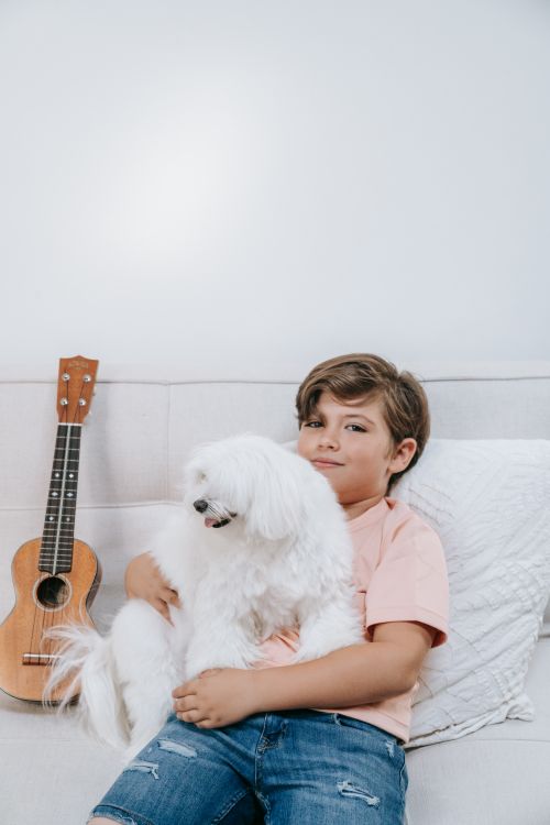 Free Caucasian boy sitting on a sofa, holding a fluffy white dog with a ukulele nearby. Cozy indoor setting. Stock Photo