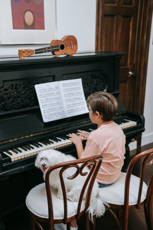 Free A young boy sitting at a piano with sheet music, accompanied by his dog, indoors. Stock Photo
