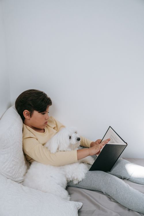 Free A boy and his Maltese dog relaxing and reading in a cozy indoor environment. Stock Photo