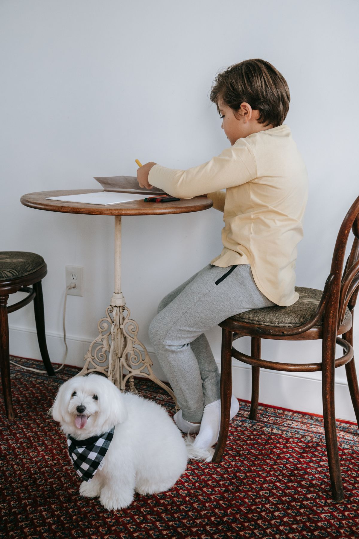 Criança estudando em casa acompanhada por cachorro
