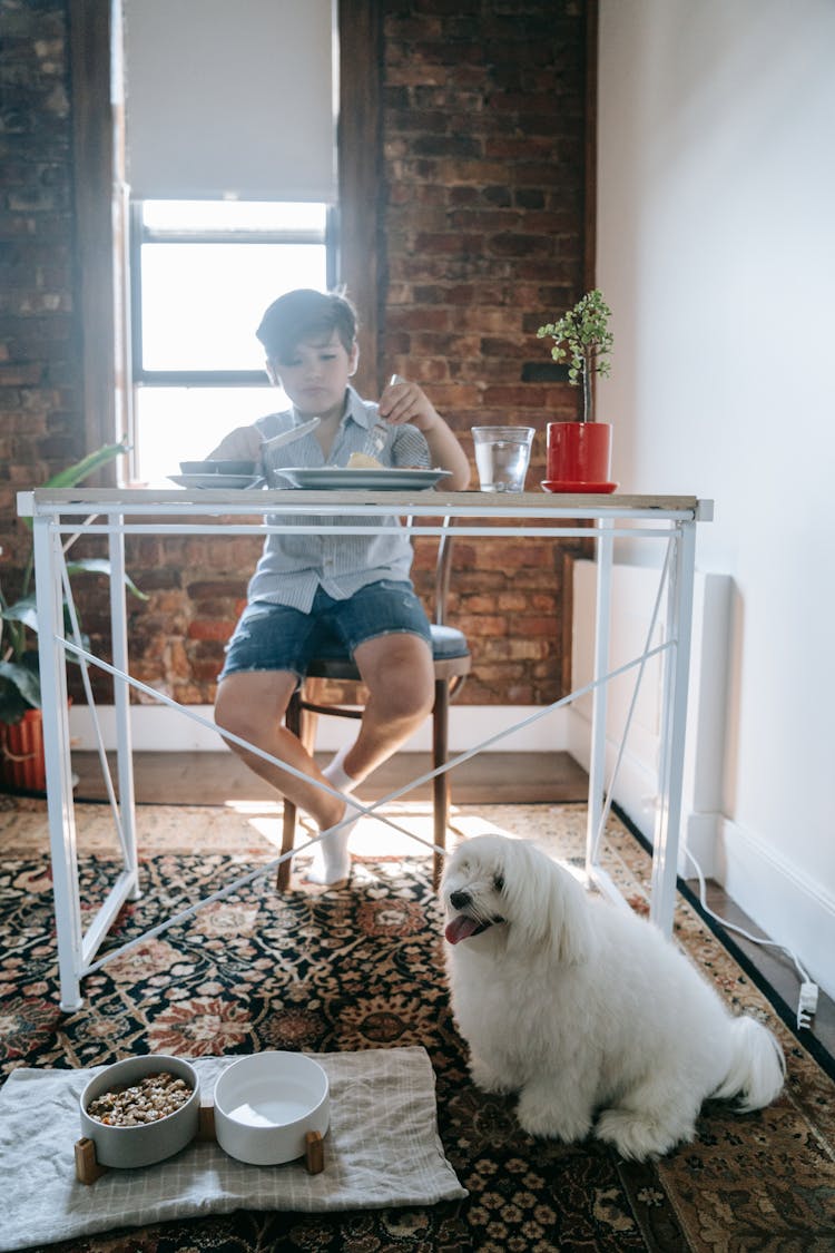 Kid Eating Lunch Beside A Dog