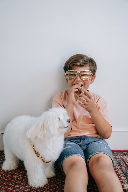 Gratis stockfoto met brillen, hond, huisdier