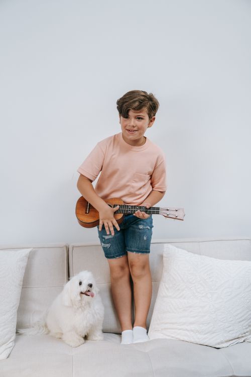 Free A young boy stands on a sofa playing a ukulele beside a fluffy white dog in a cozy indoor setting. Stock Photo