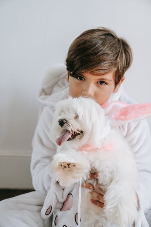 Photo of a Boy Holding His White Dog while Looking at the Camera