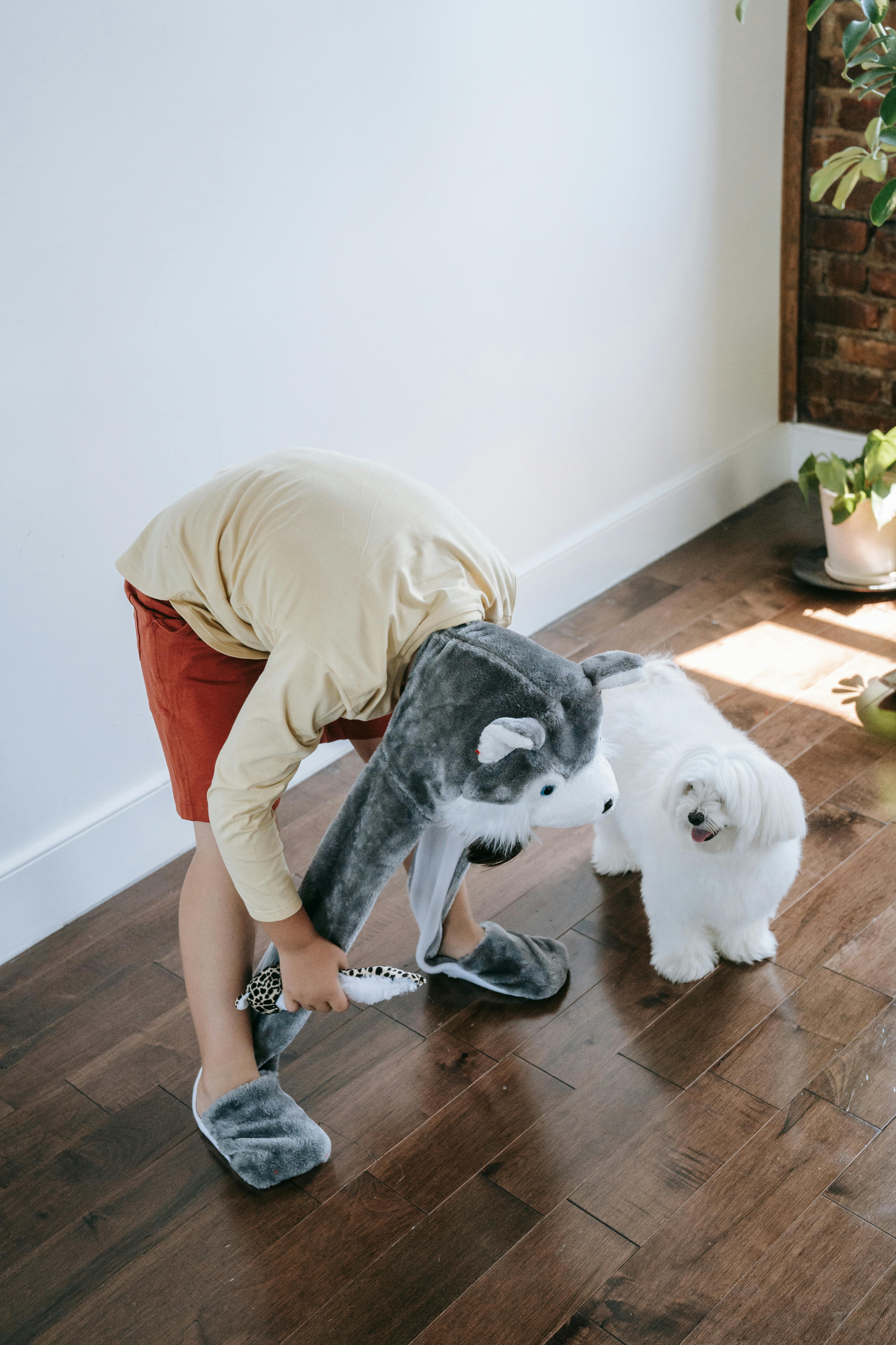 Boy with a Mascot on Head Playing with a Small Dog