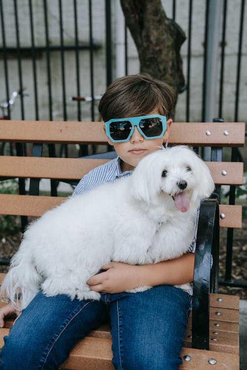 Free Dog Sitting on a Boy's Lap Stock Photo