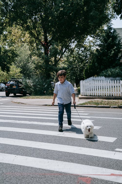 Boy Crossing the Street with his Dog