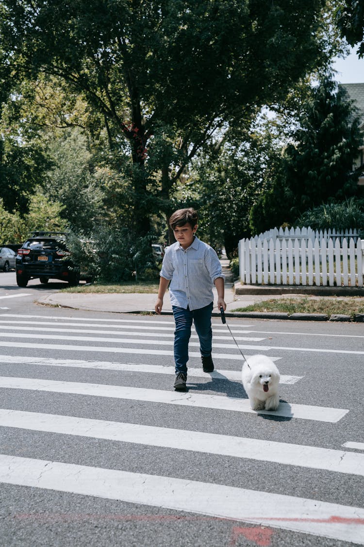 Boy Crossing The Street With His Dog