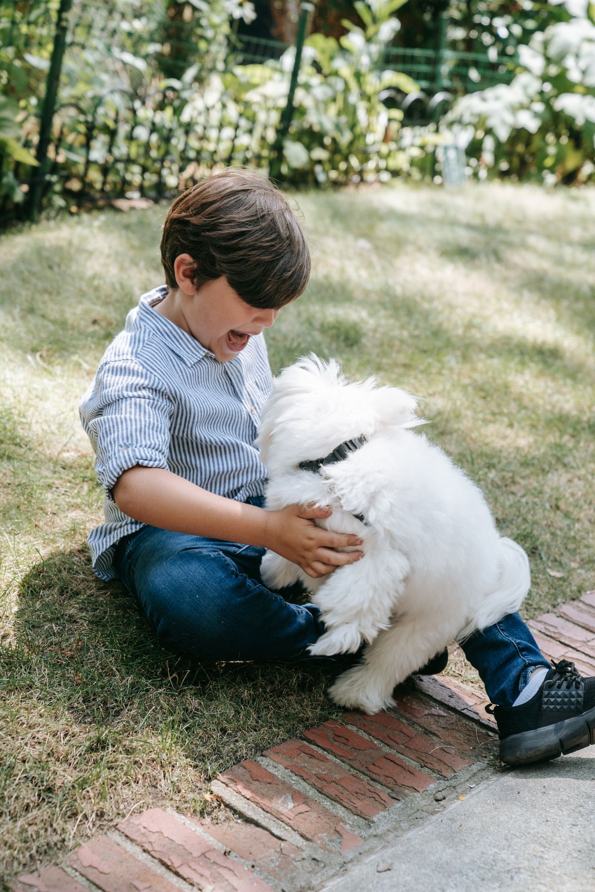 Criança brincando com cachorro