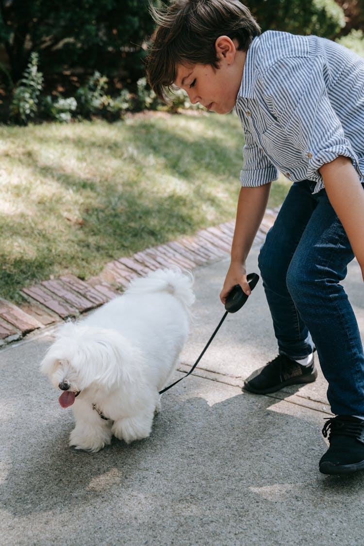 Boy Playing With His Dog