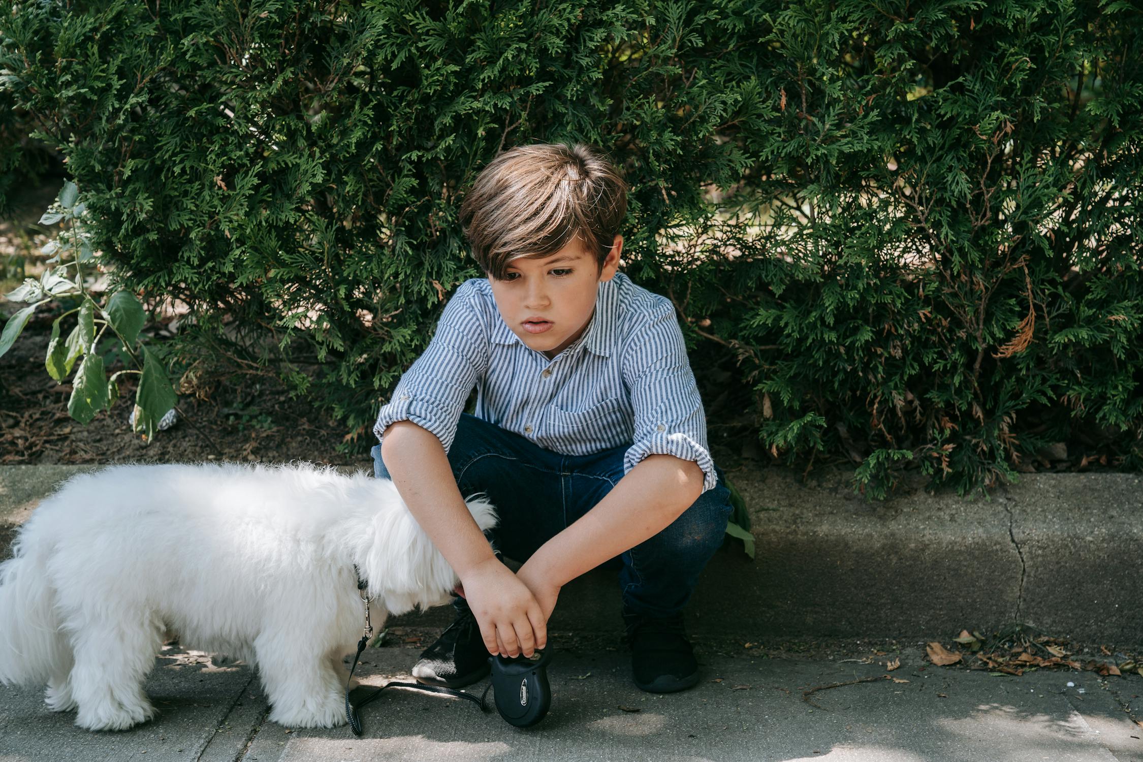 Kid with Pet Photo by Katya Wolf from Pexels