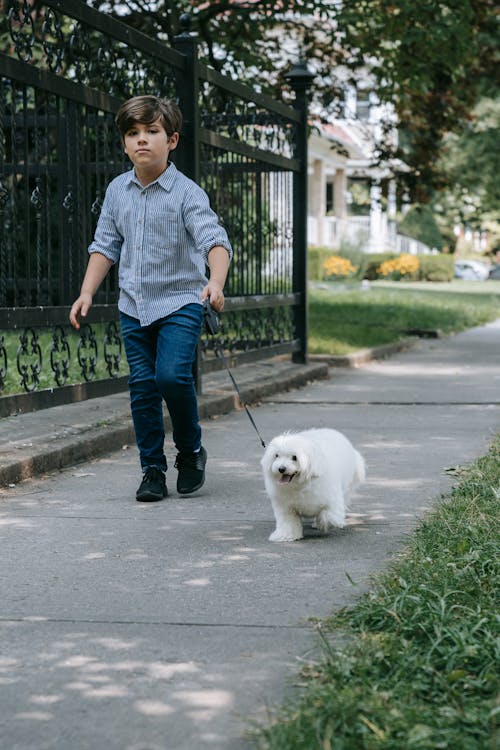 Free Boy Walking With His Pet Dog Stock Photo