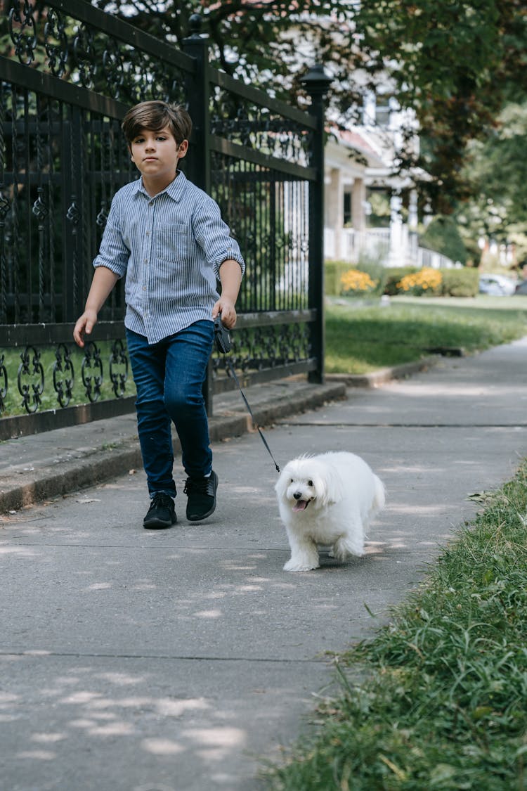 Boy Walking With His Pet Dog