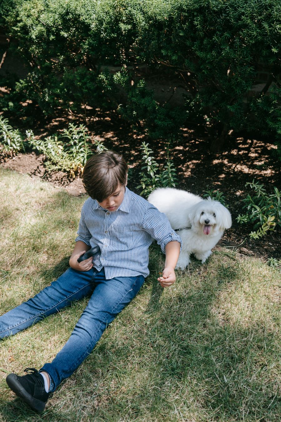 Young boy lying on the grass beside a white dog
