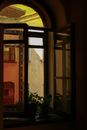 Green Plants Beside Window