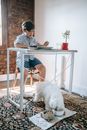 A Boy and a Dog Eating Breakfast