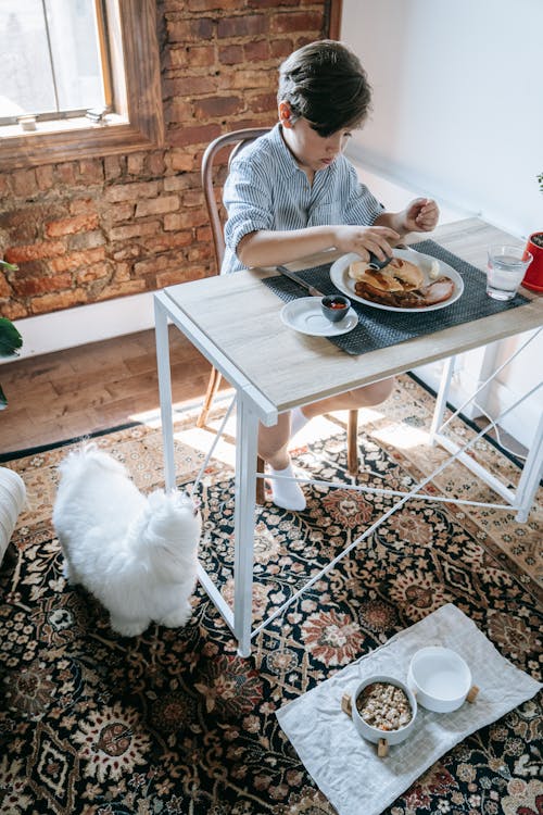 Free A Boy Eating Breakfast Watched by His Dog Stock Photo