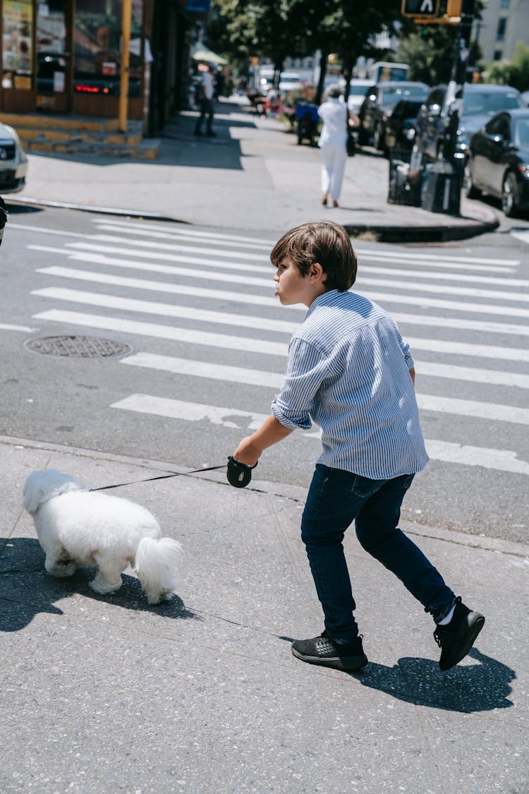 Boy Walking On Pedestrian Lane With His Dog