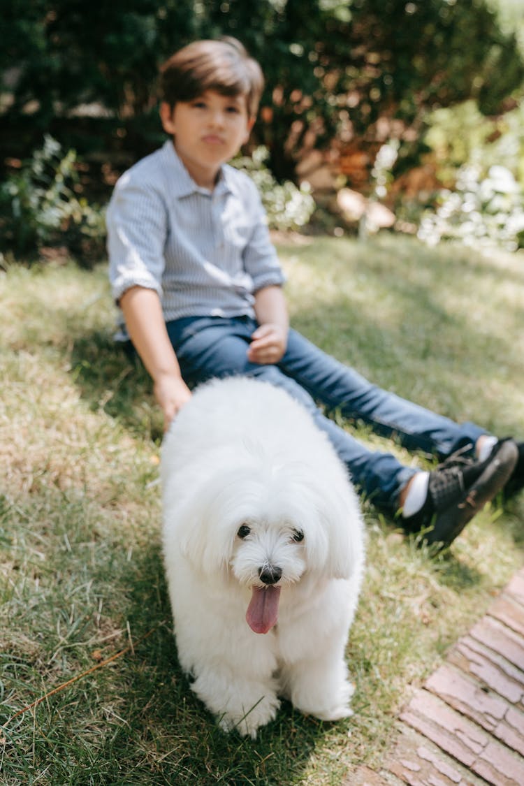 Boy Sitting On The Grass With His Dog