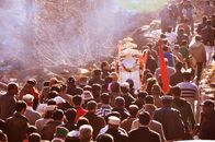 People Standing on Forest