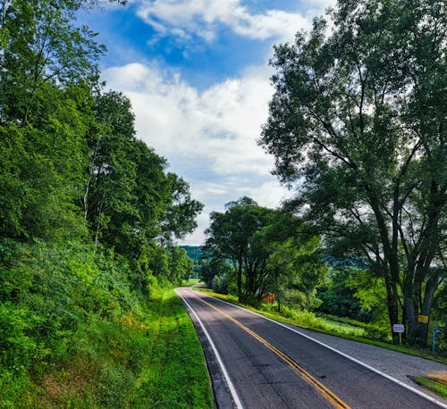 Gray Asphalt Road Between Green Trees Under Blue and White Cloudy Sky