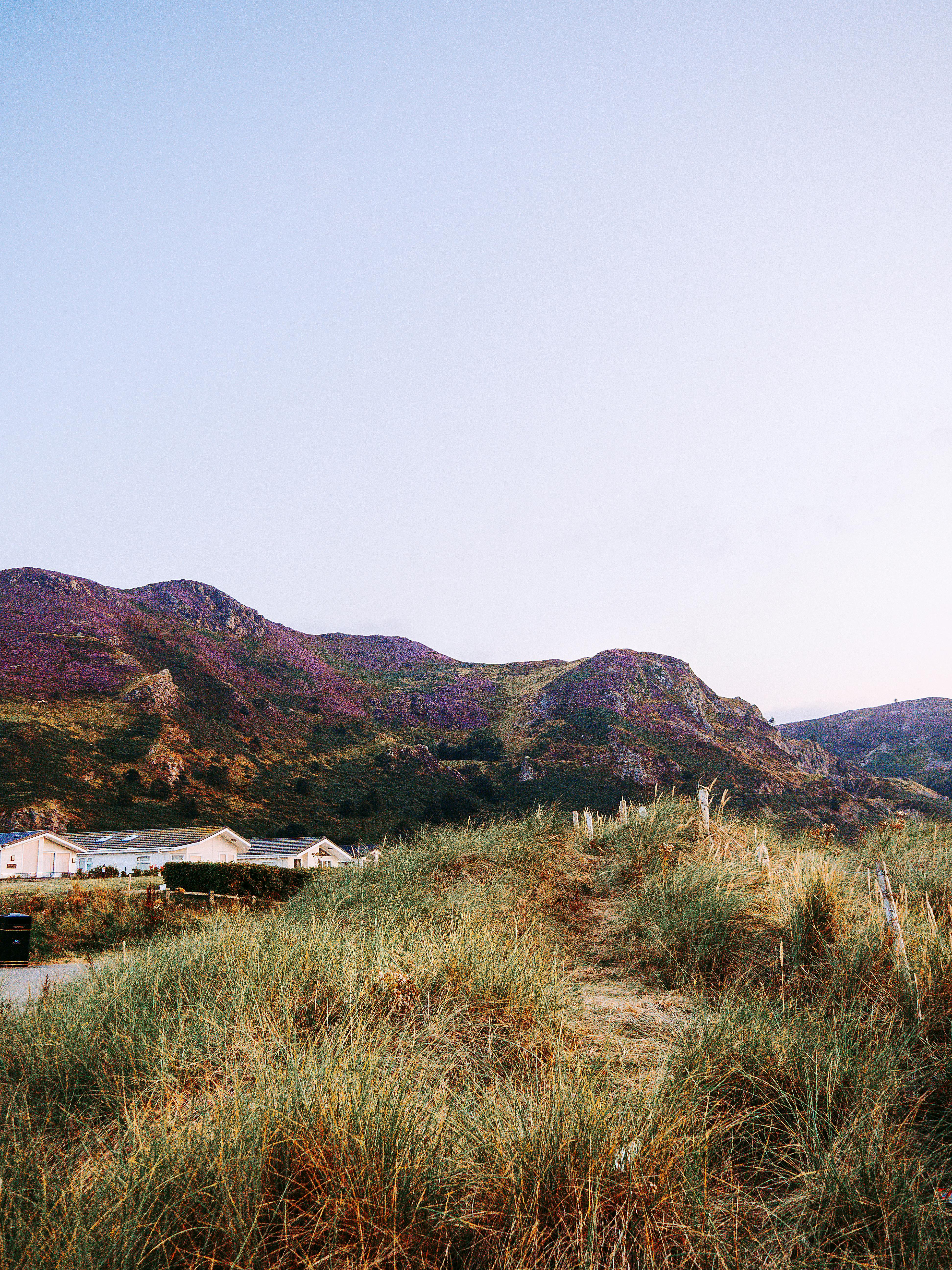 Tranquil view of mountains with a grass-covered trail under a pastel sky.