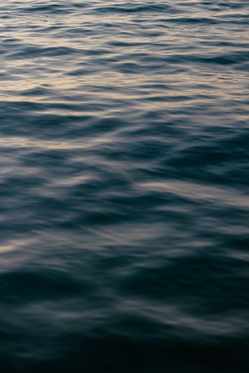 Free Calm ocean water surface reflecting the soft light of dusk, creating a serene atmosphere. Stock Photo