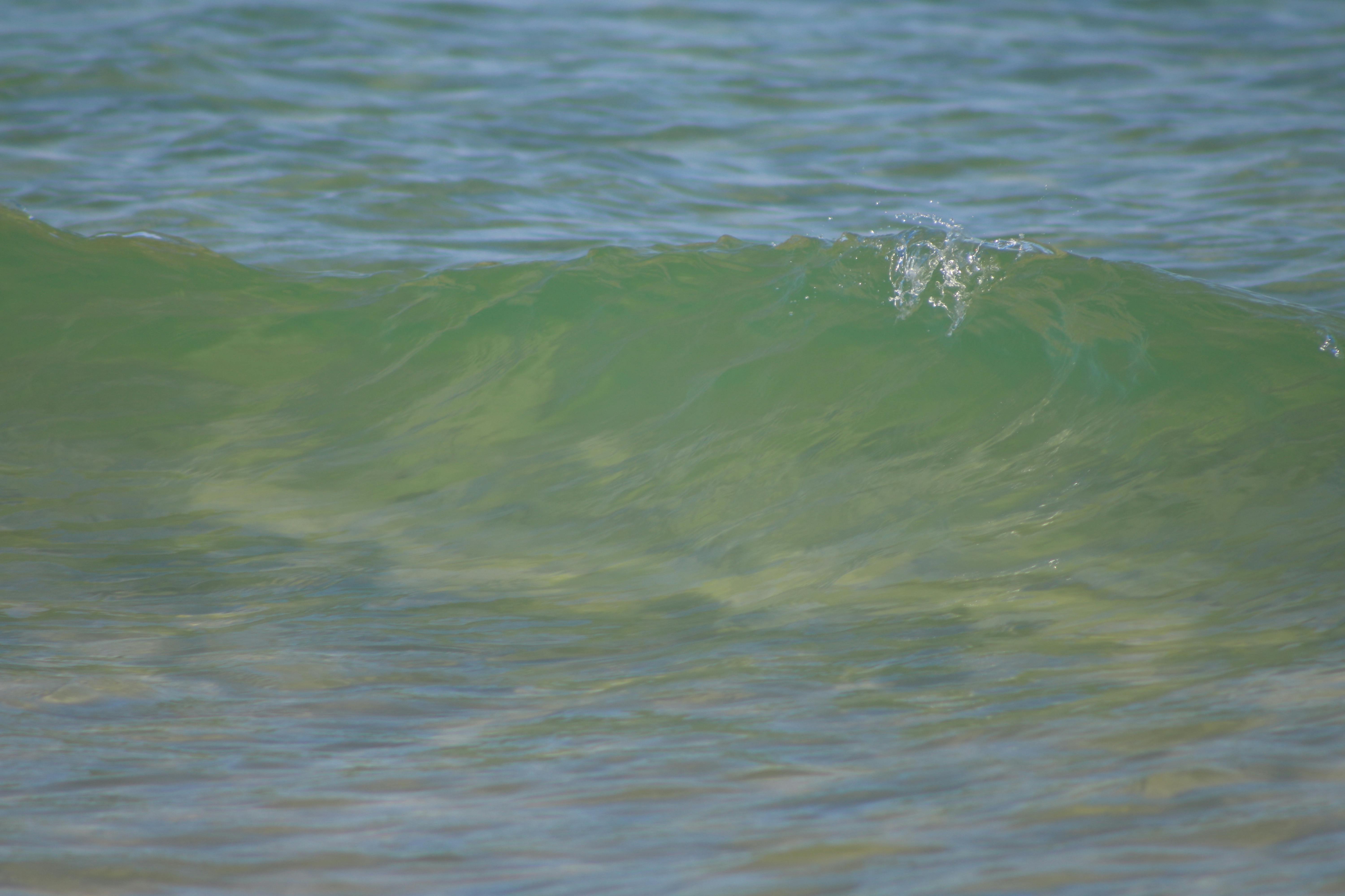 Free stock photo of clear water, ocean, surf