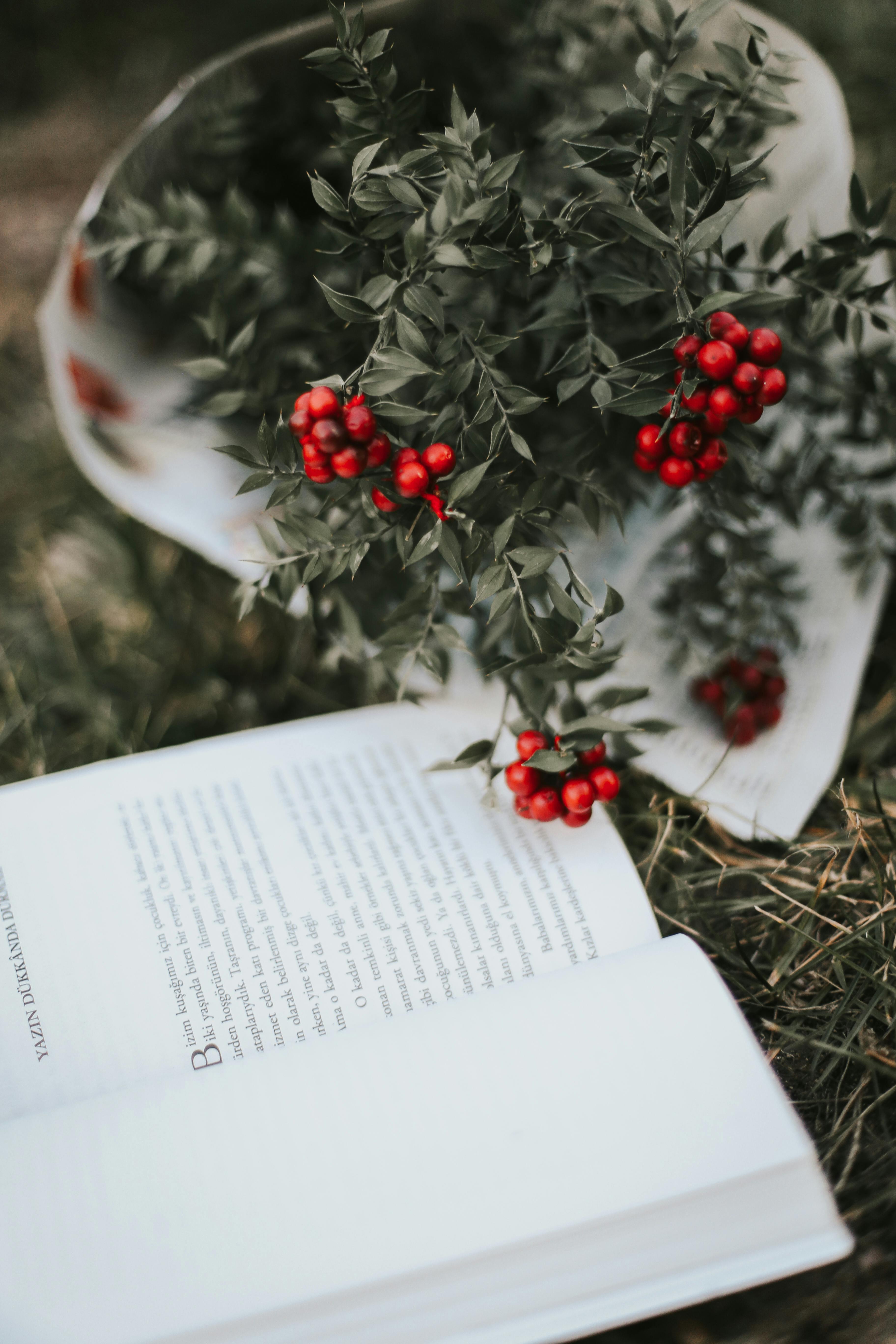 An open book lies beside a bouquet of red berries and foliage on grass.