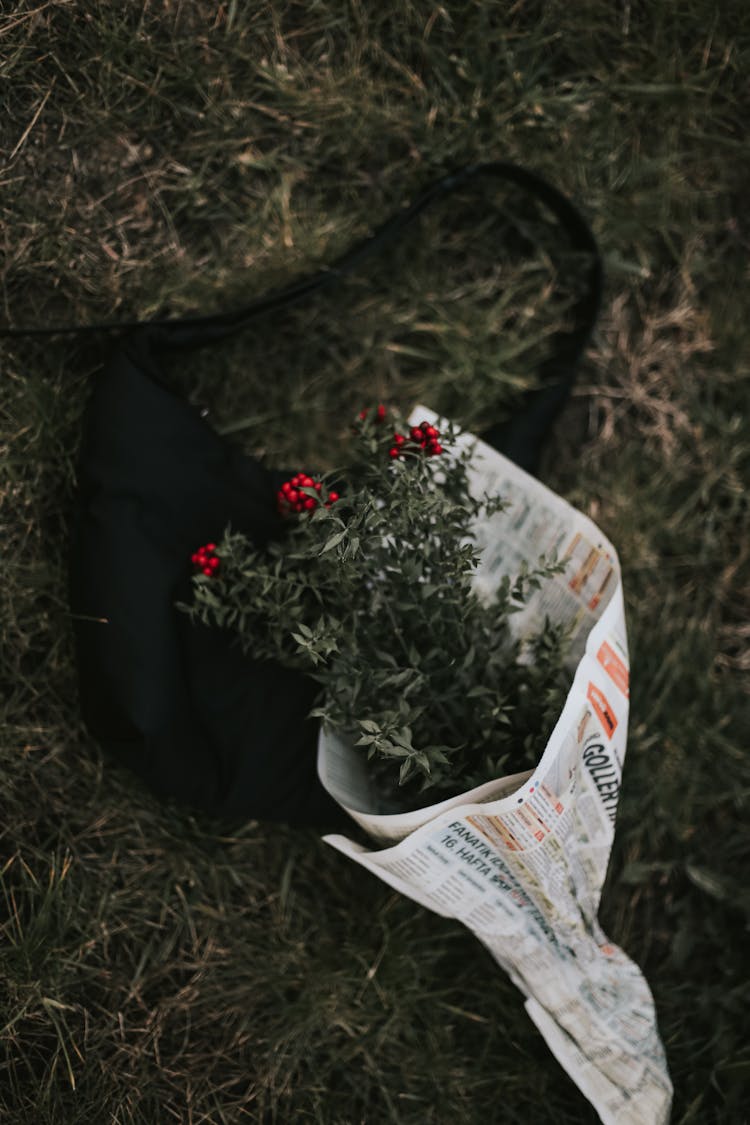 Branches With Fruit Wrapped In Newspaper