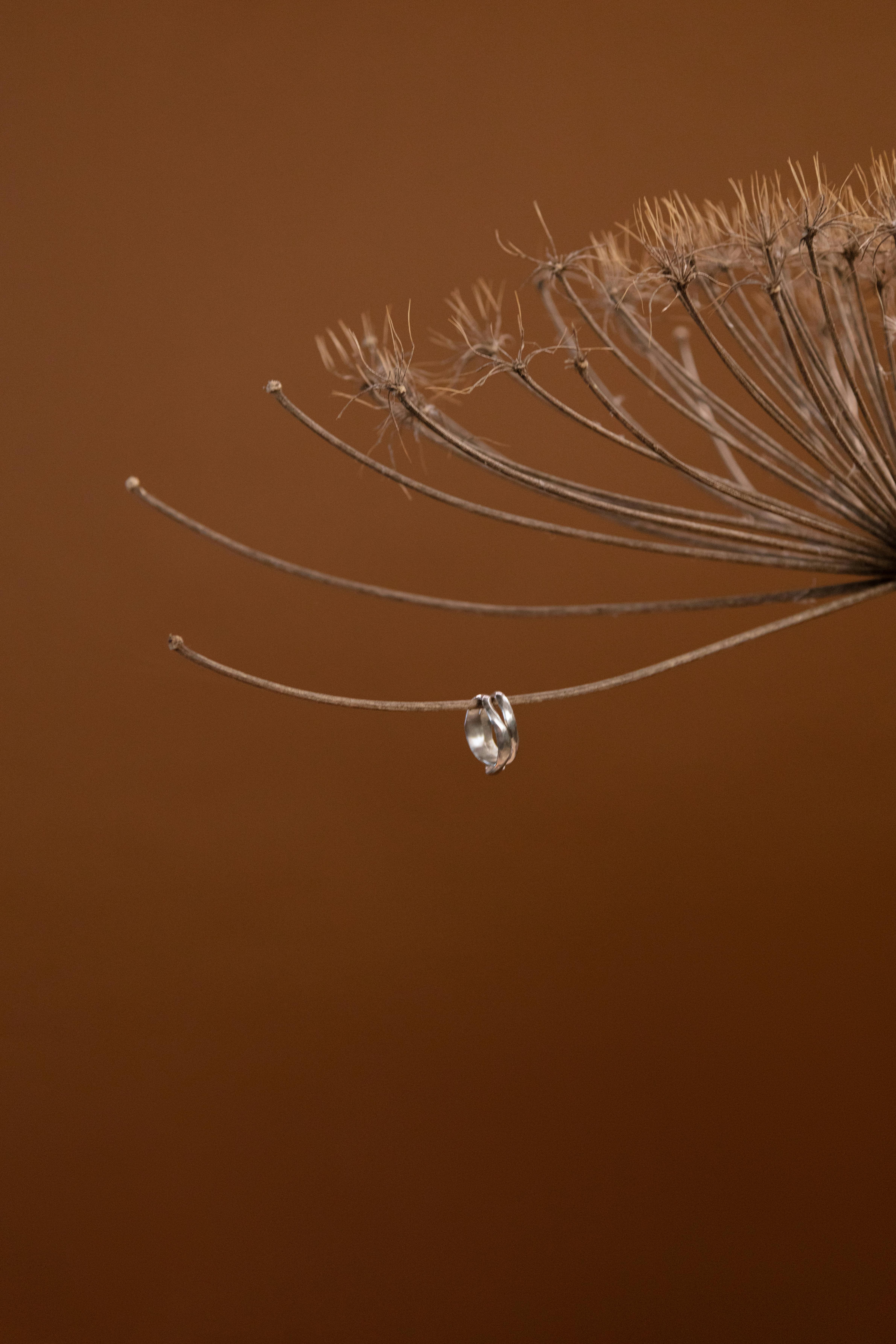silver ring hanging on dried flower