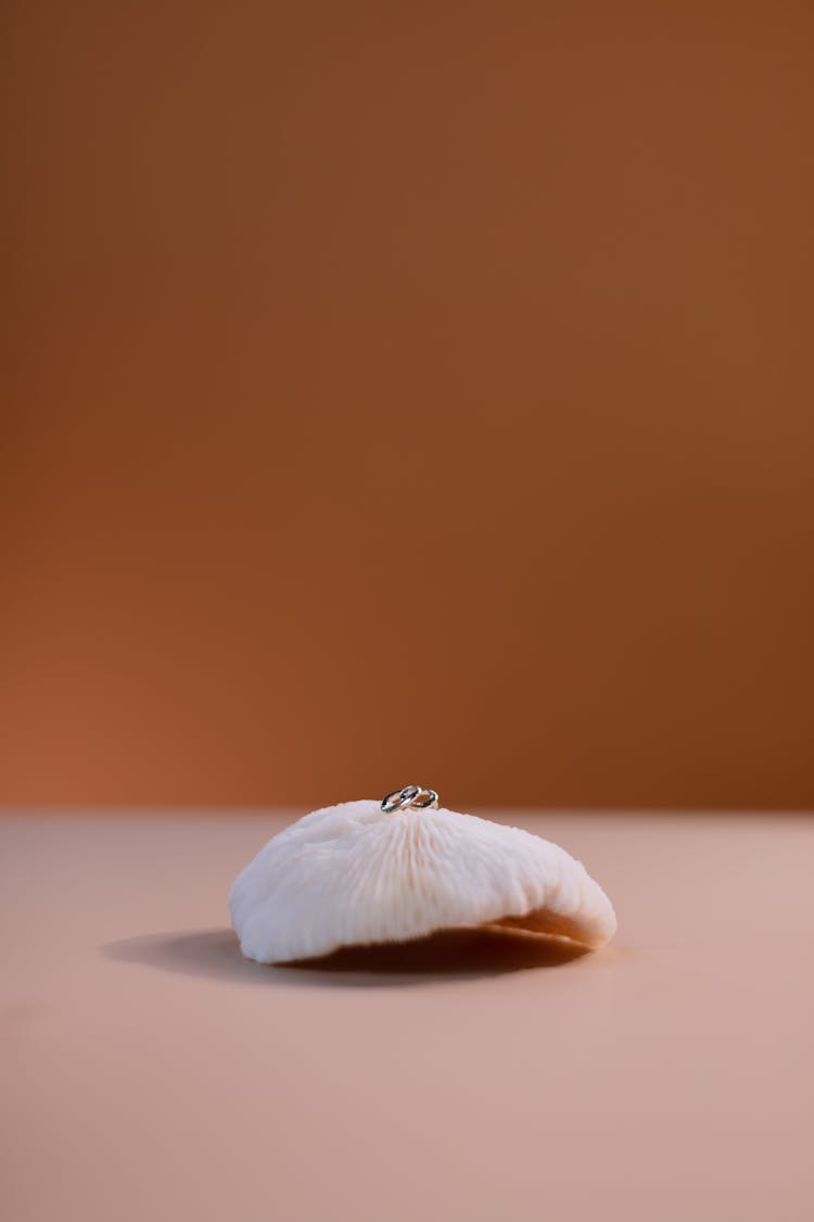 A Silver Ring On The White Mushroom 